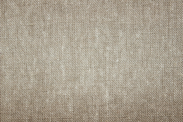 Leinen-/ Baumwollgemisch Essex Yarn Dyed  Flax (10 cm)